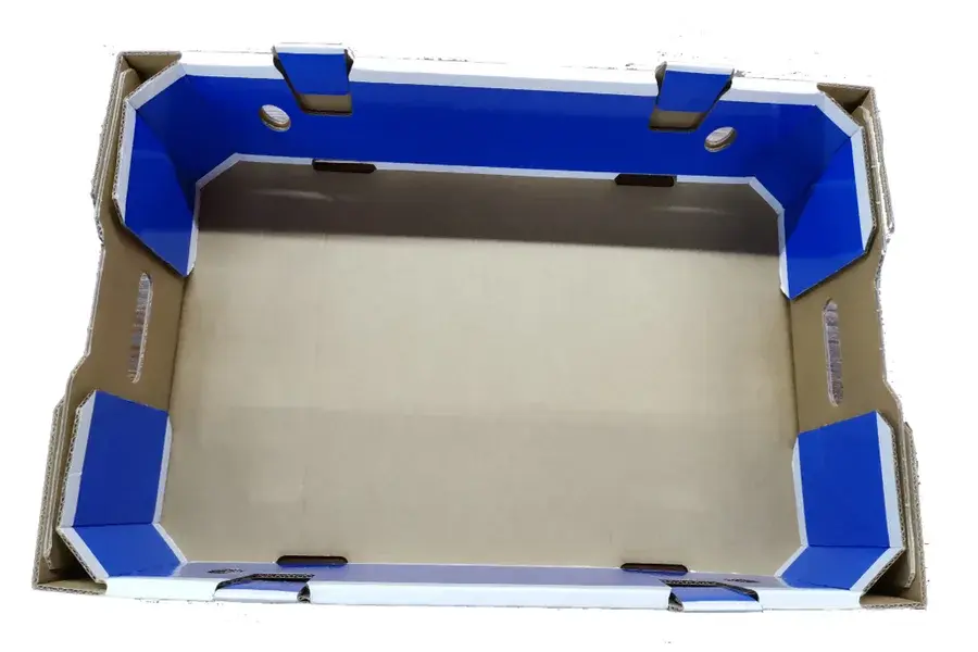 Top view into an empty blue produce tray.