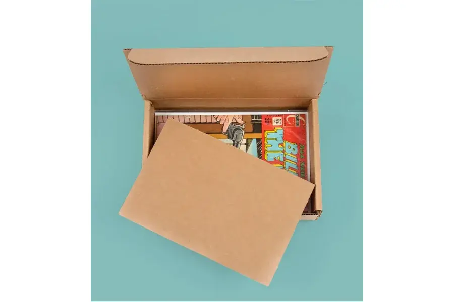Books inside an open kraft mailer on a blue background.