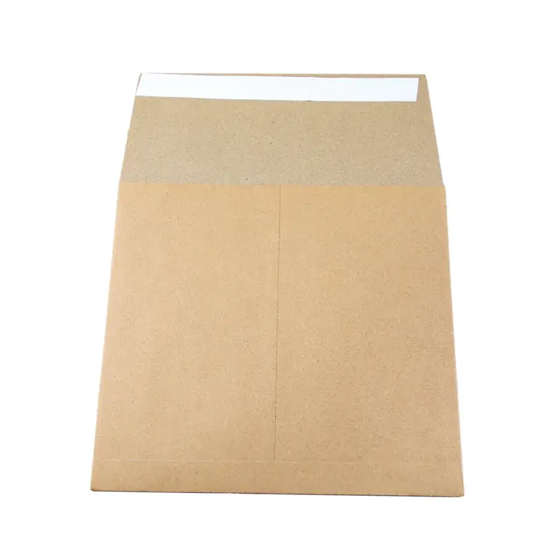 Back of a kraft mailing envelope with its adhesive flap exposed.