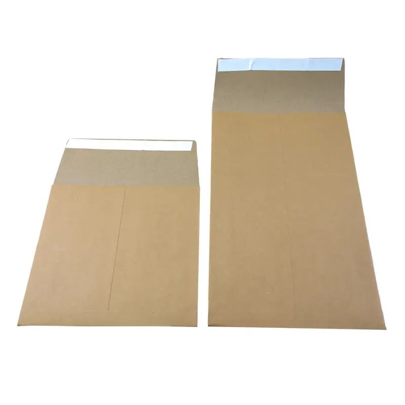 Two kraft mailing envelopes with open adhesive flaps.