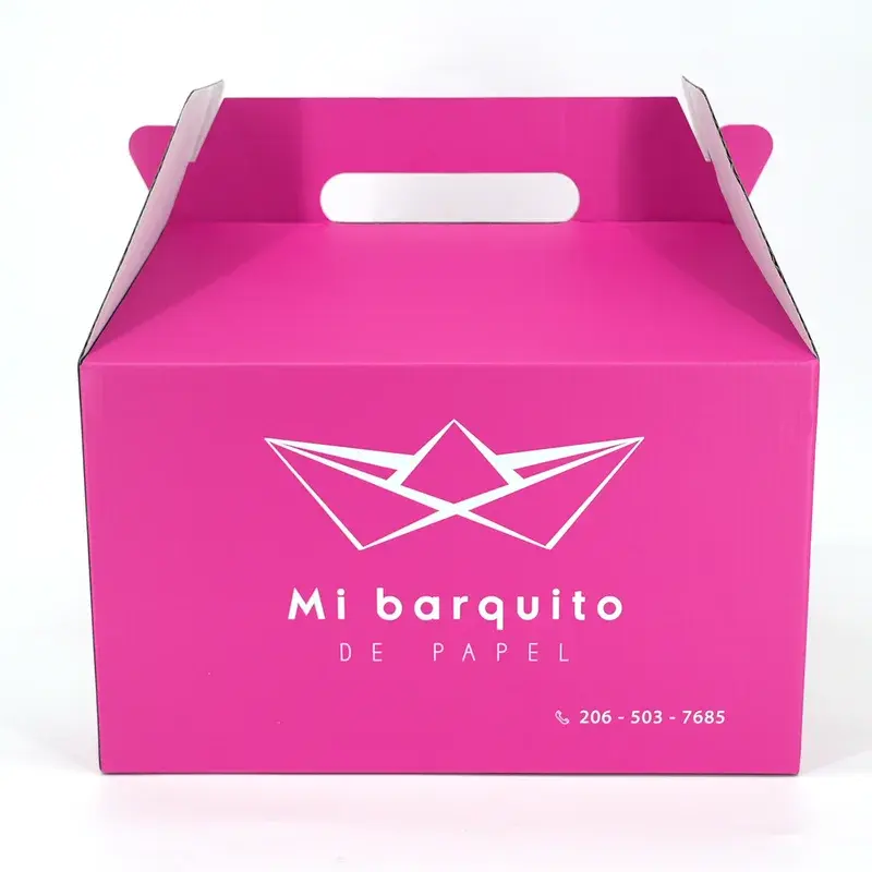 Front view of a bright pink box with a built-in carry handle.