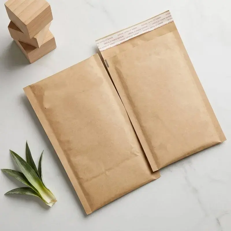 Two plain kraft mailing envelopes beside small brown boxes.
