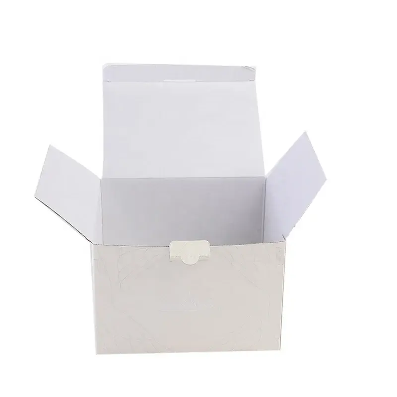 Plain white carton with its top flaps opened outward.