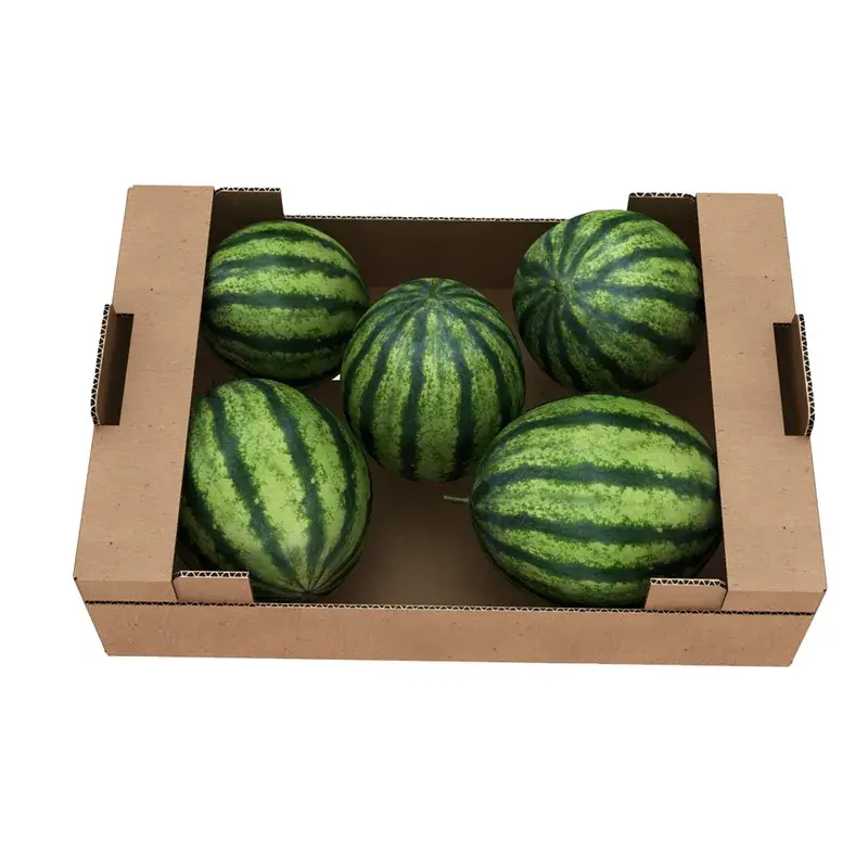 Top view of small watermelons inside a kraft produce tray.
