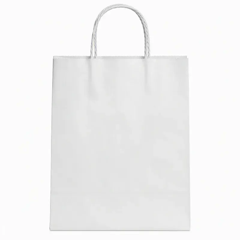 Front view of a plain white bag with twisted paper handles.