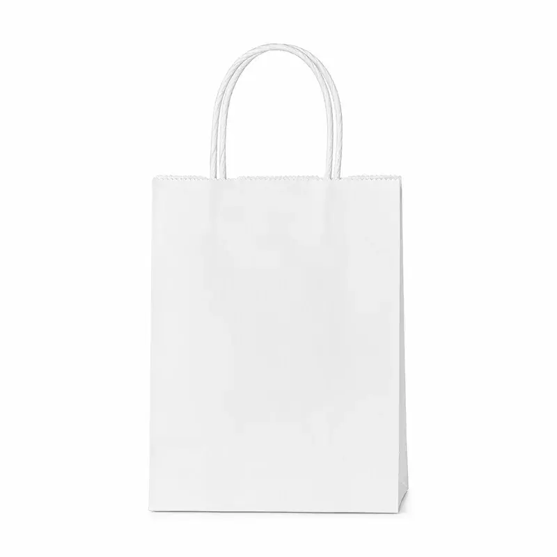 Upright plain white paper bag with twisted handles.