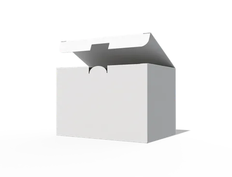 Reference view of tuck-end cartons, style E60100.