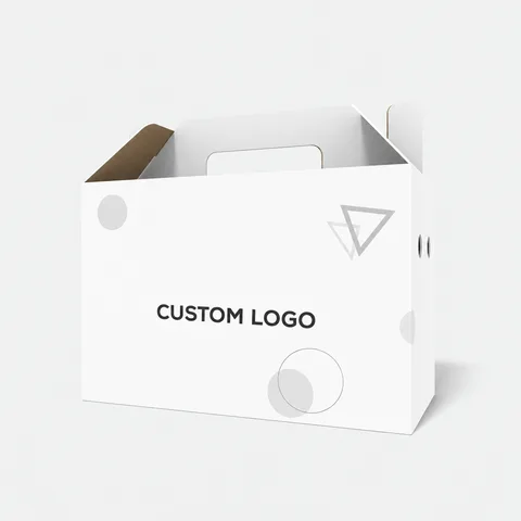 Reference view of tuck-end cartons, style E60355.