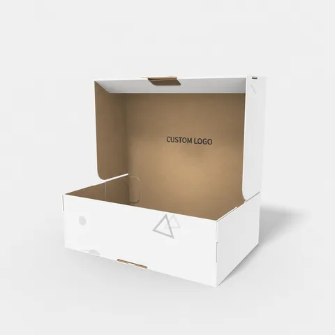 Reference view of hinged-lid boxes with locking tabs, style E60579.