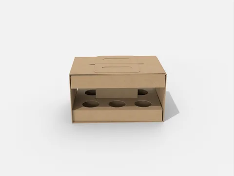 Reference view of 6-bottle carriers with inserts, style E60869.
