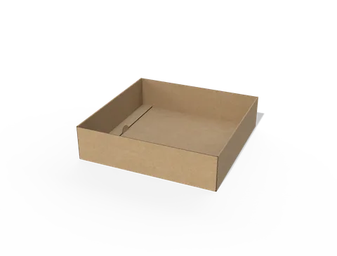 Reference view of packaging trays with locking tabs, style E60884.