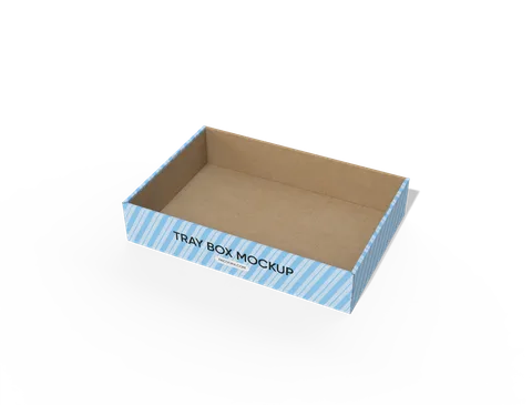 Reference view of packaging trays with side locking tabs, style E60891.
