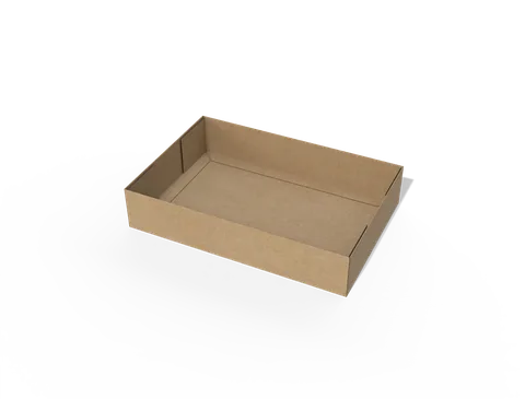 Reference view of packaging trays with side locking tabs, style E60892.