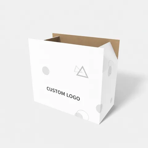 Reference view of shipping cartons, style E61200.