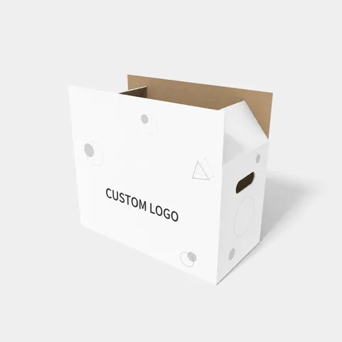 Reference view of shipping cartons, style E61202.