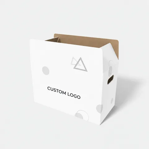 Reference view of shipping cartons, style E61221.