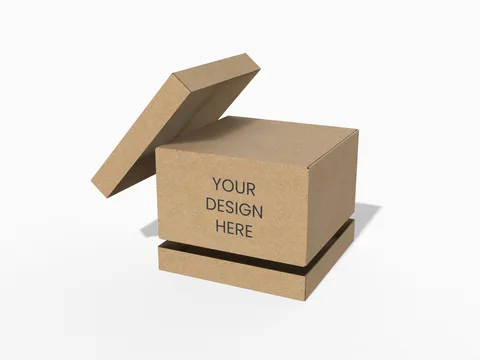 Reference view of shipping cartons, style E61254.