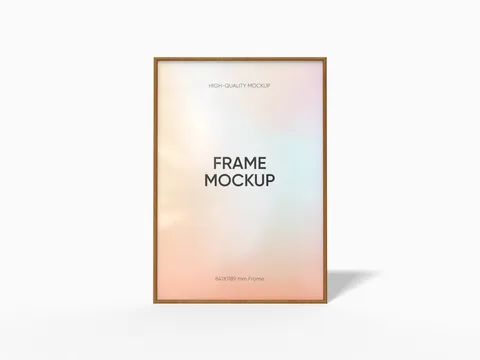 Reference view of A0 display frames, style E61781.