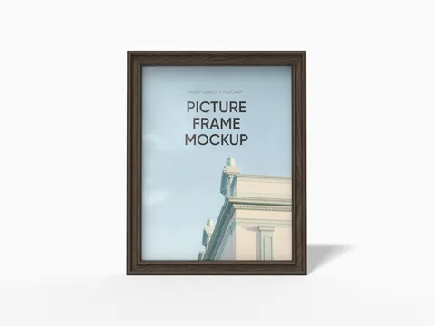 Reference view of display frames, style E61784.