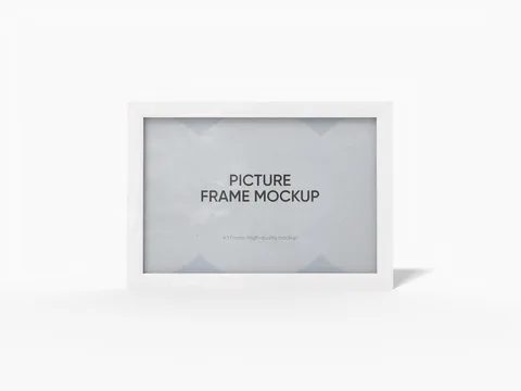 Reference view of A3 display frames, style E61786.