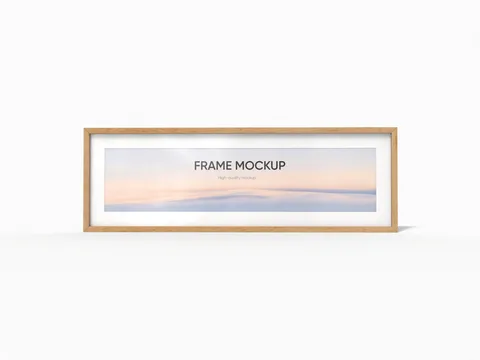 Reference view of display frames, style E61797.