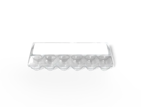 Reference view of plastic egg cartons, style E61818.