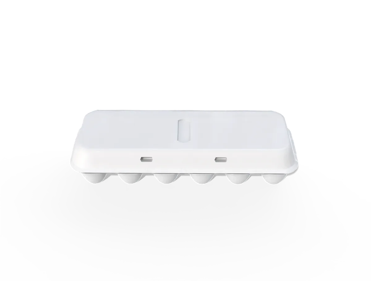 Reference view of plastic egg cartons, style E61819.