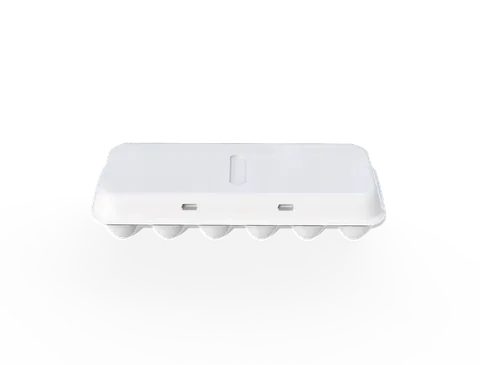 Reference view of plastic egg cartons, style E61819.