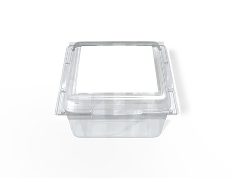 Reference view of plastic food containers, style E61823.